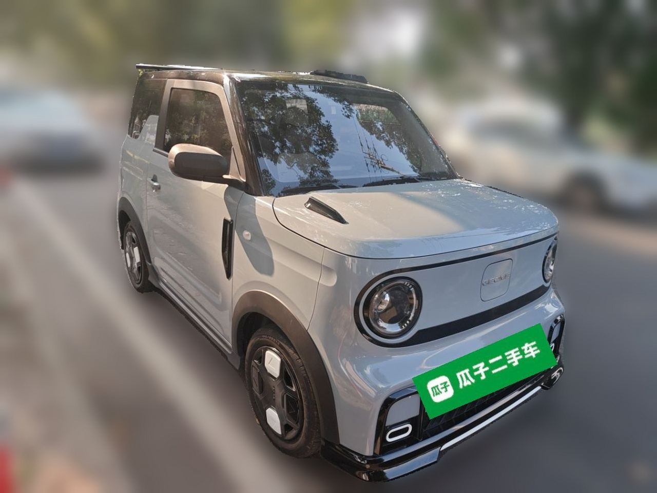 2025 210km Panda photo 3