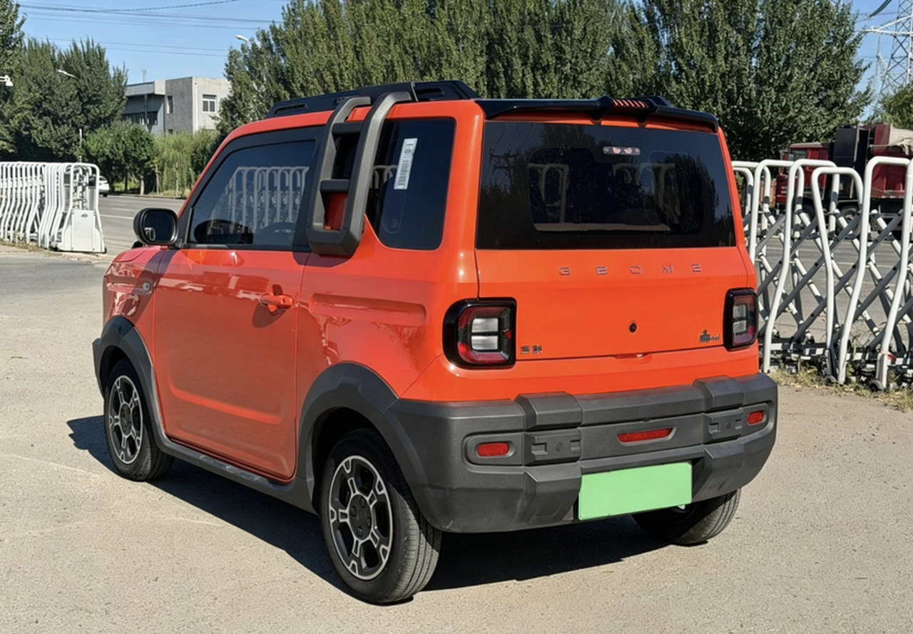 2024 200km Panda photo 4