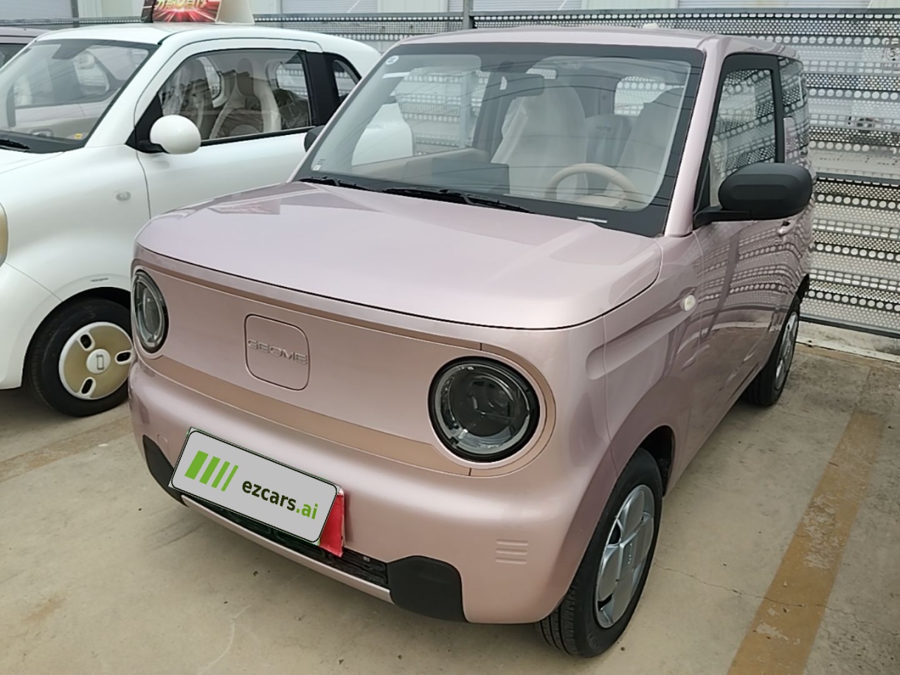 2024 Panda mini 200km Endurance Bear
