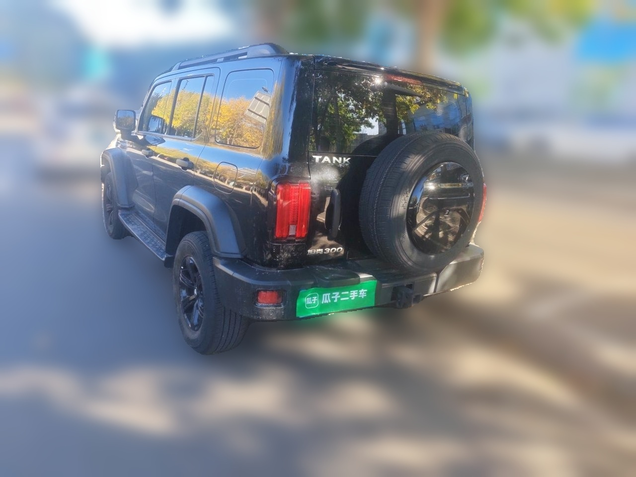 300 2023 Off-road 2.0T Conqueror photo 4