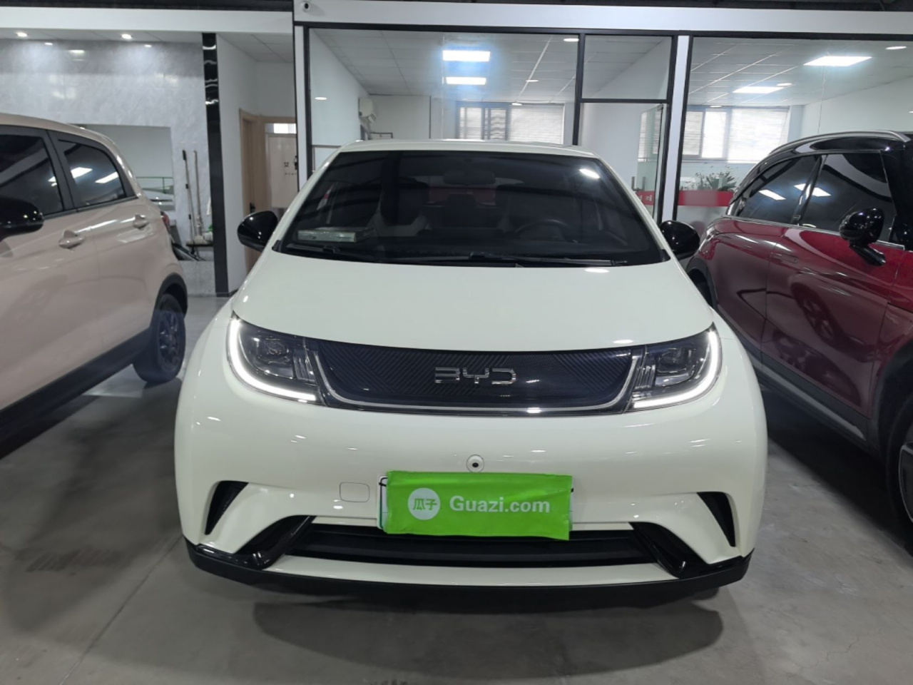 Dolphin 2024 Honor 420km photo 2