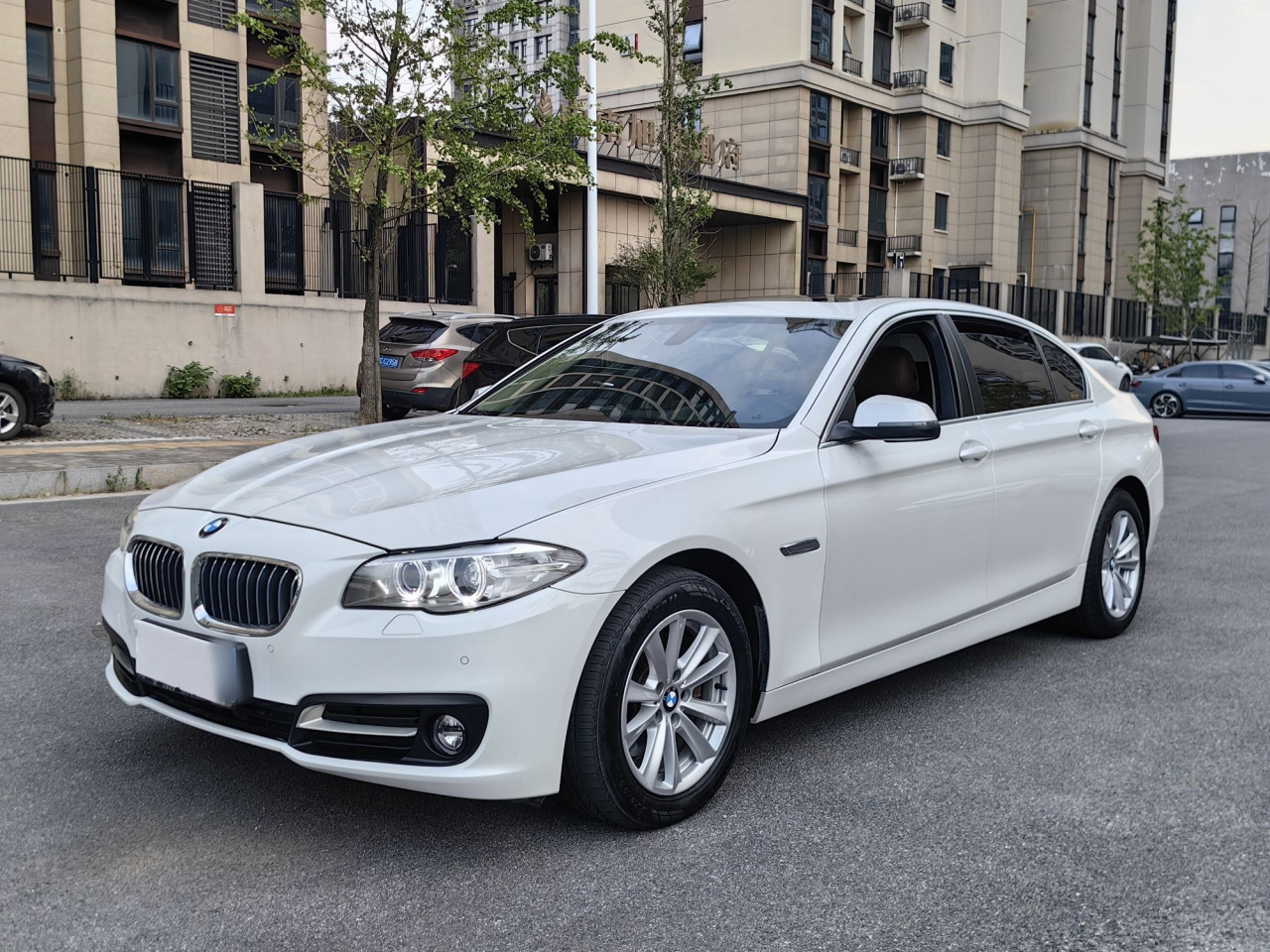 5 Series 2014 520Li