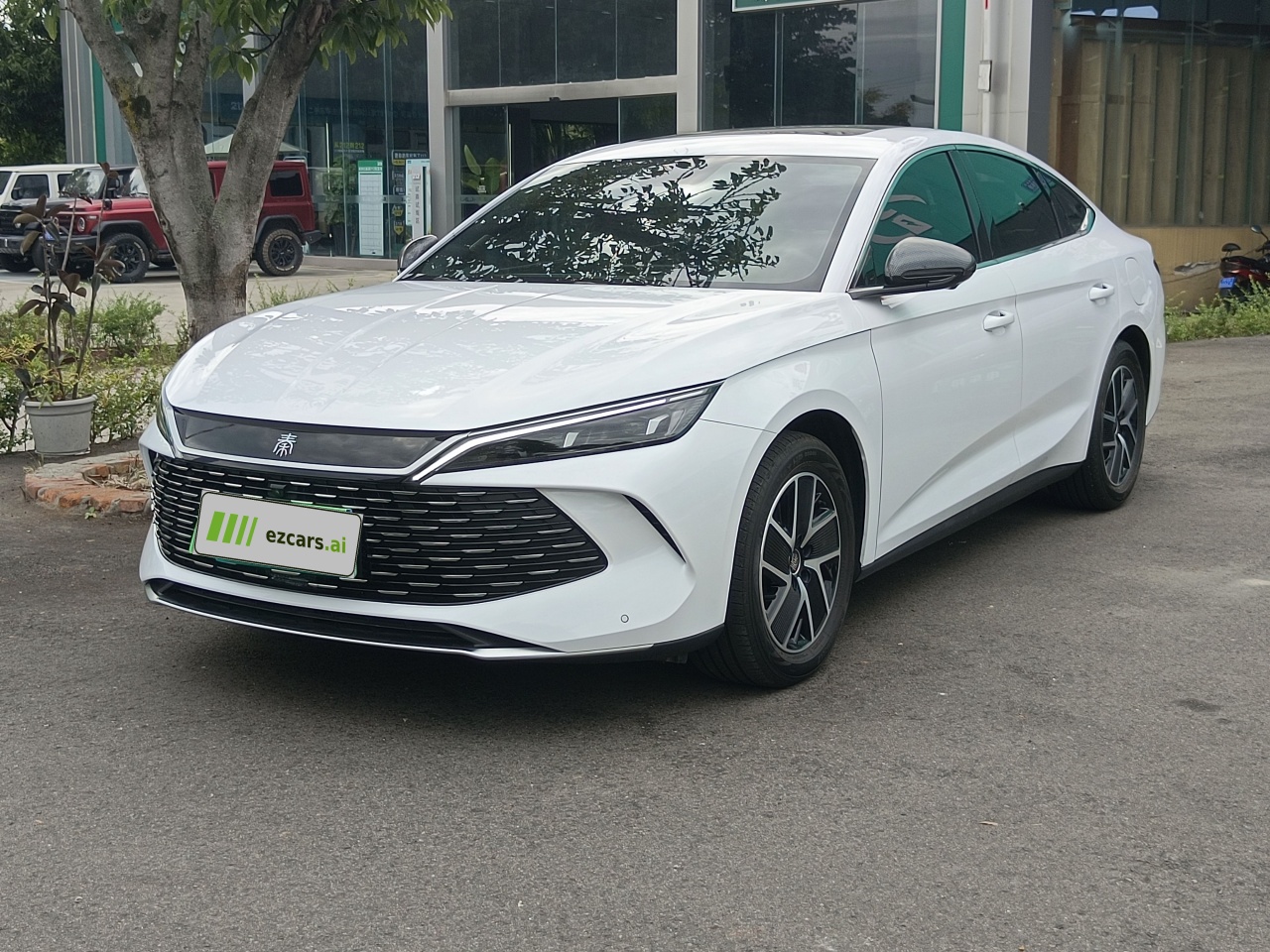 Qin L 2024 DM-i 120KM Leading