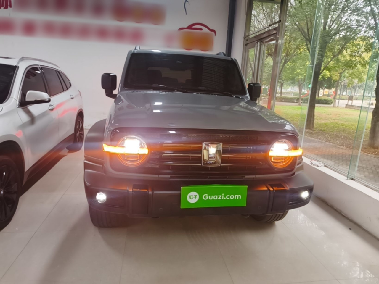 300 2021 Off-road 2.0T Conqueror photo 2