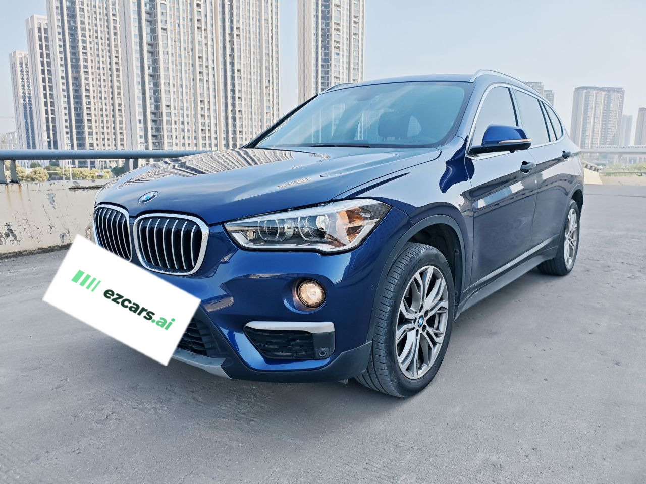 X1 2019 sDrive20Li Leading