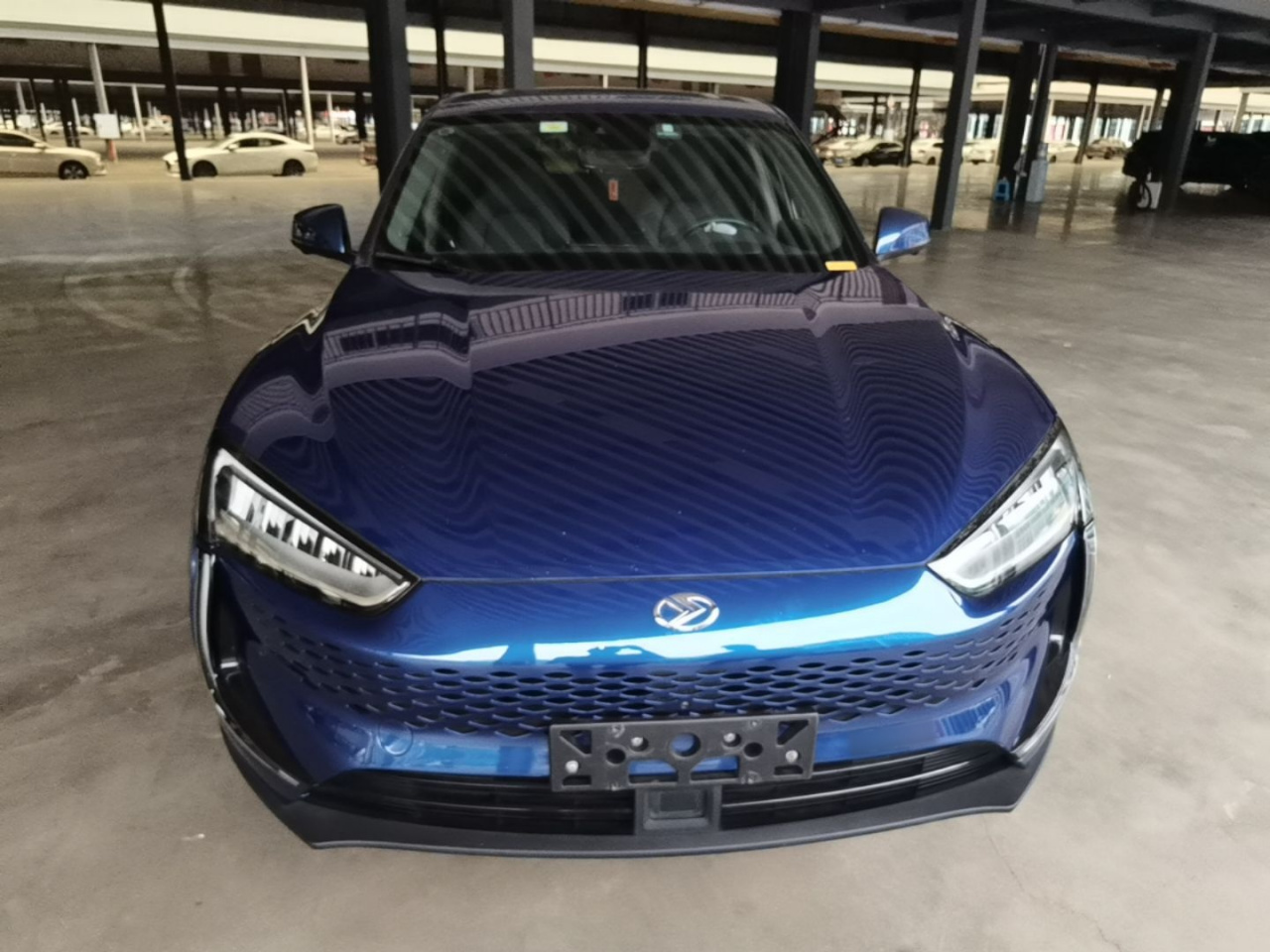 SERES SF5 2020 AWD Performance Sport photo 2