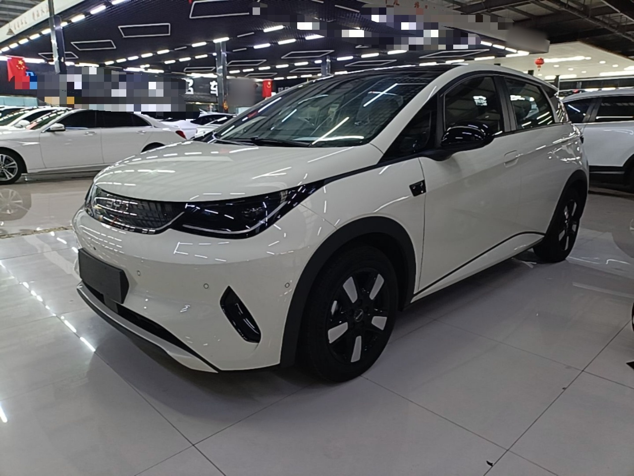 Dolphin 2025 ADAS 410km Fashion