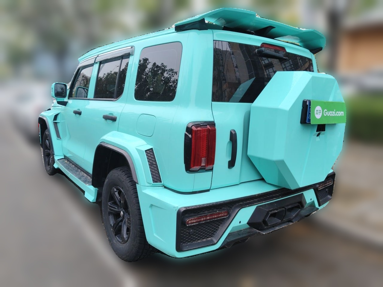 300 2021 Off-road 2.0T Conqueror photo 4