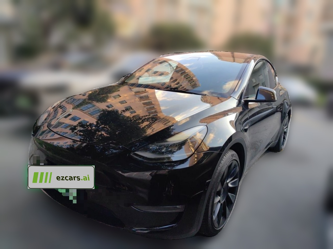 Model Y 2021 Standard Range RWD