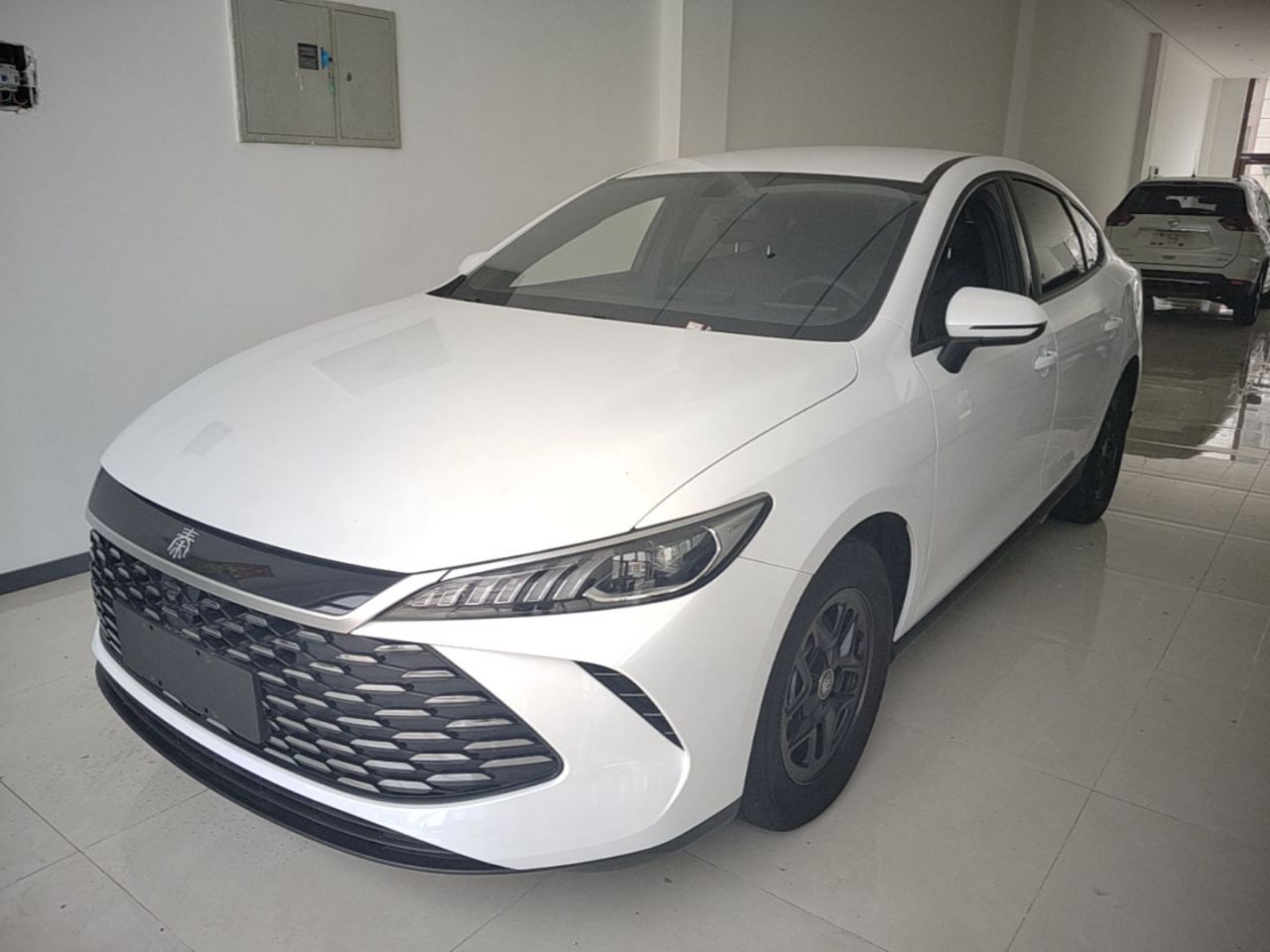 Qin PLUS 2025 DM-i ADAS 55KM Leading