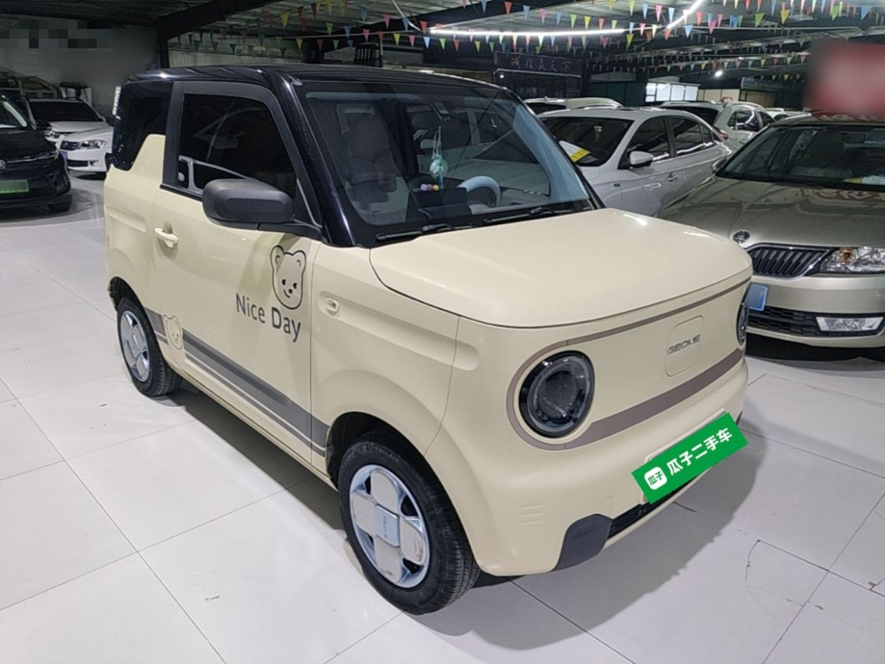 2023 Panda mini 200km Endurance Bear photo 3