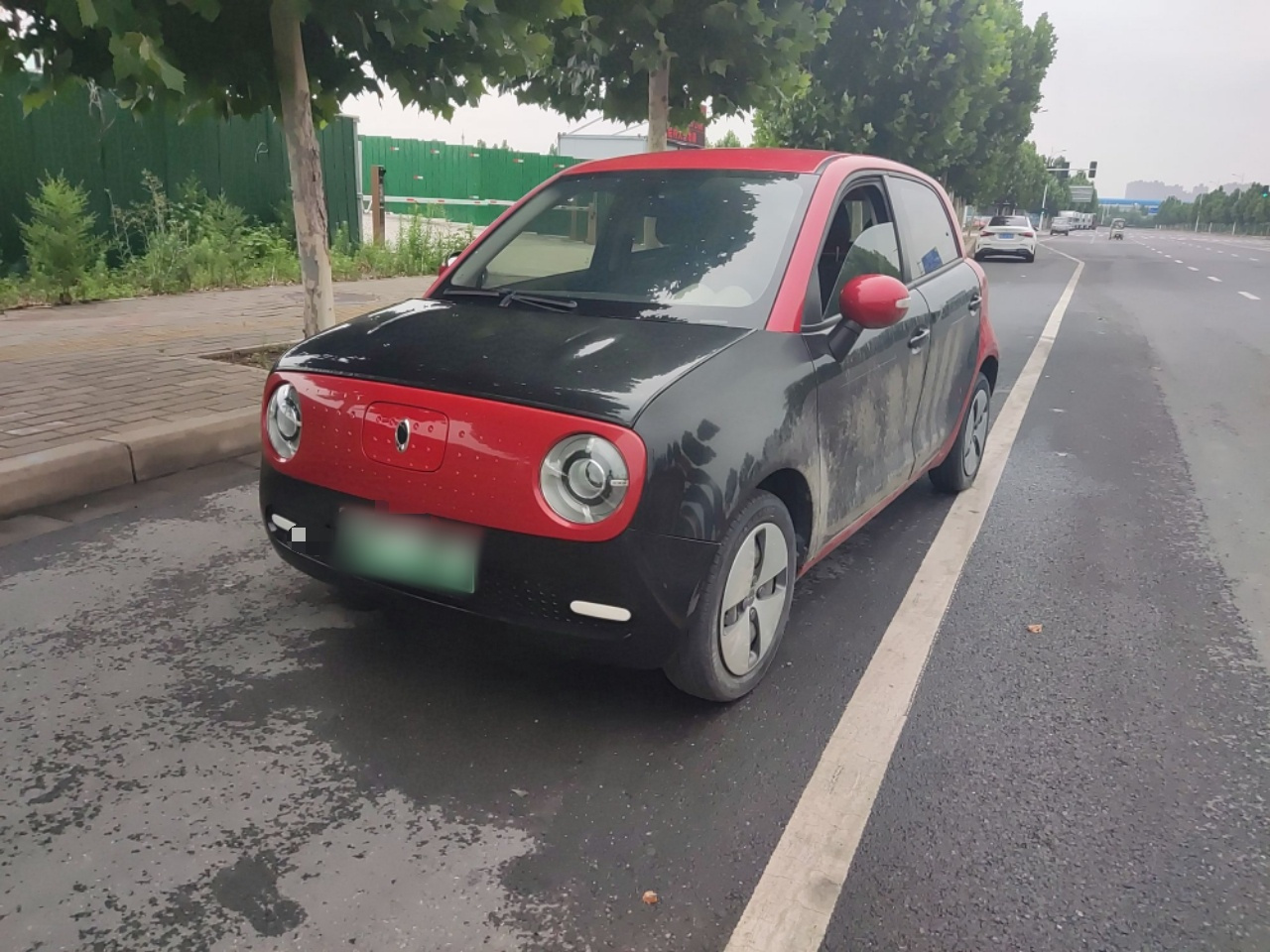 2019 301km Standard photo 4