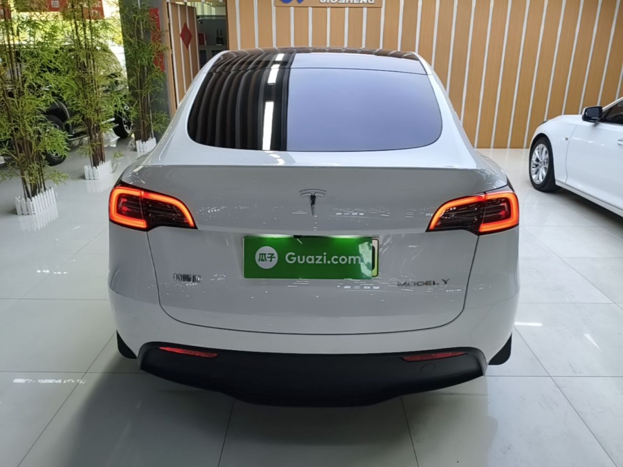 Model Y 2024 RWD photo 5
