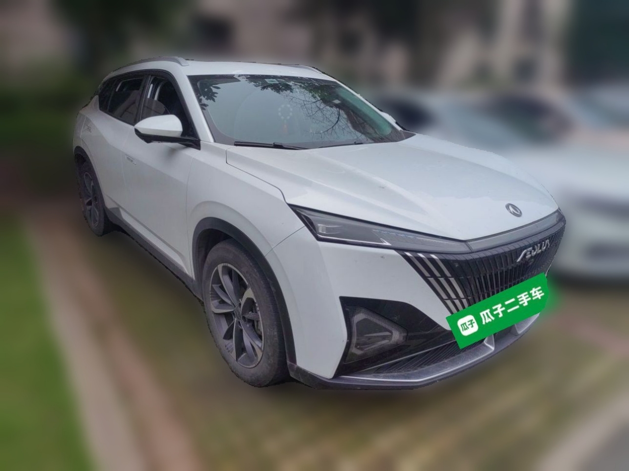2023 DH-i 1.5T Luxury photo 3