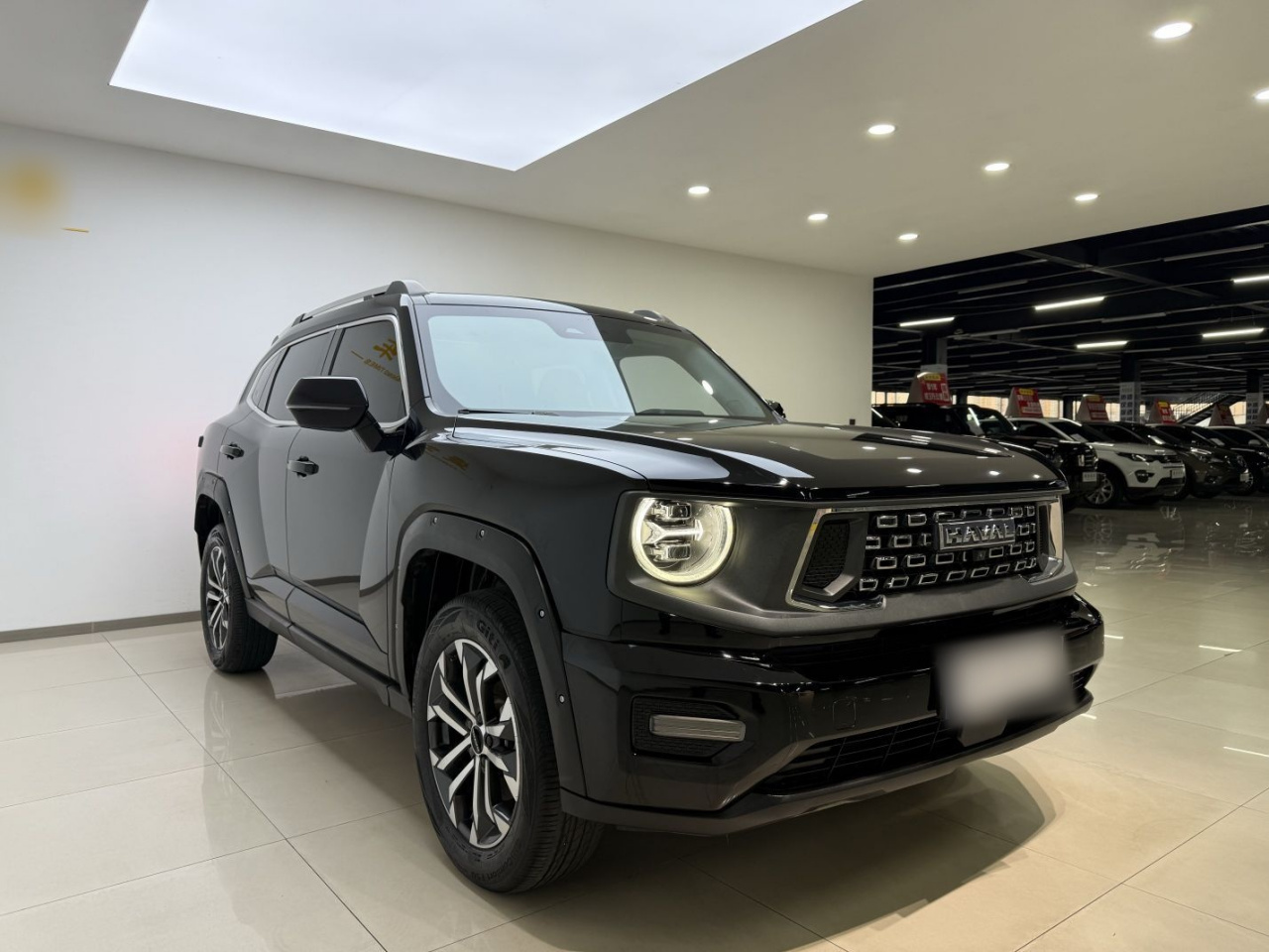 Dargo PLUS 2023 1.5T RWD Plus photo 3