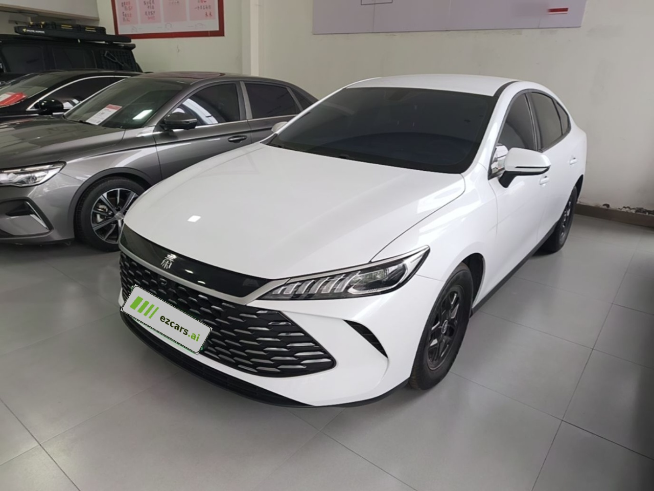 Qin PLUS 2025 DM-i ADAS 55KM Leading