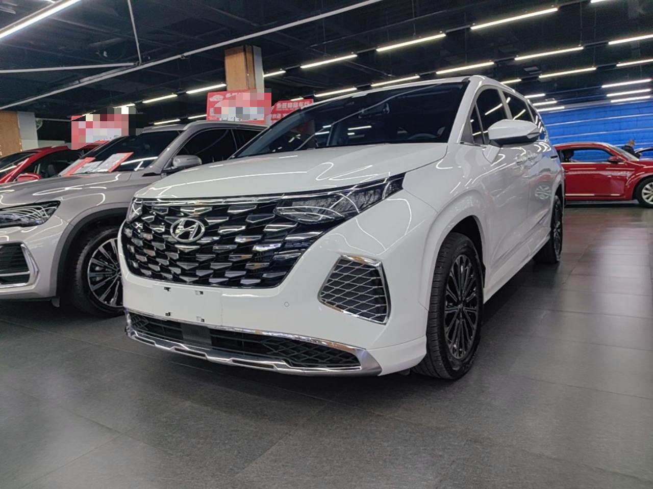 Custo 2024 270TGDi LUX Premium