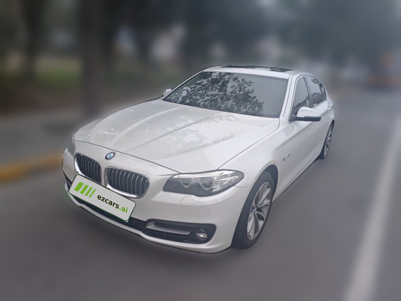 5 Series 2014 528Li Design Package