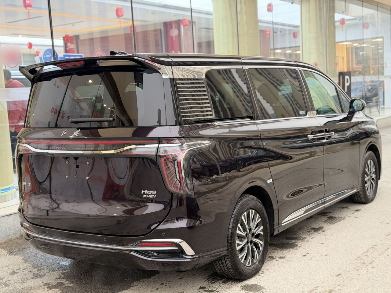 HQ9 PHEV 2024 2.0T AWD Business photo 4
