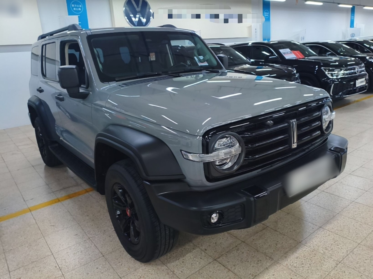 300 2021 Off-road 2.0T Conqueror photo 3