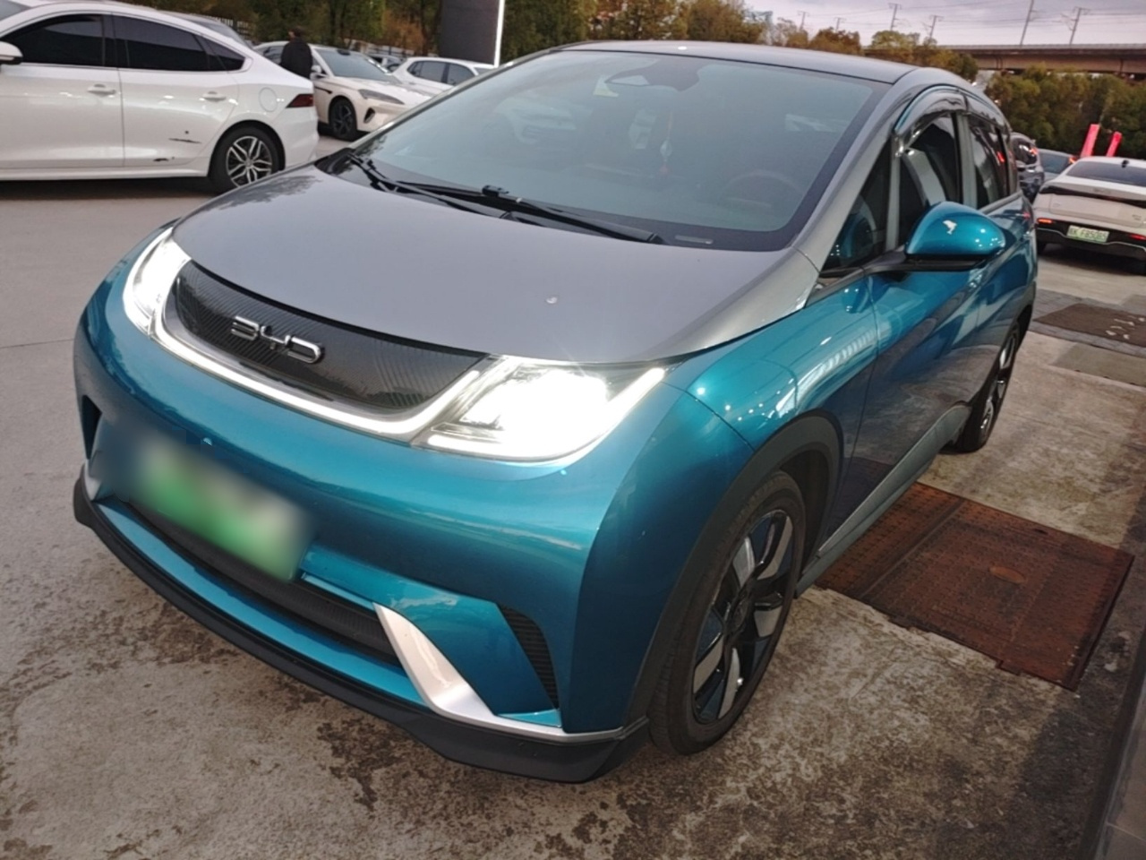 Dolphin 2021 401km