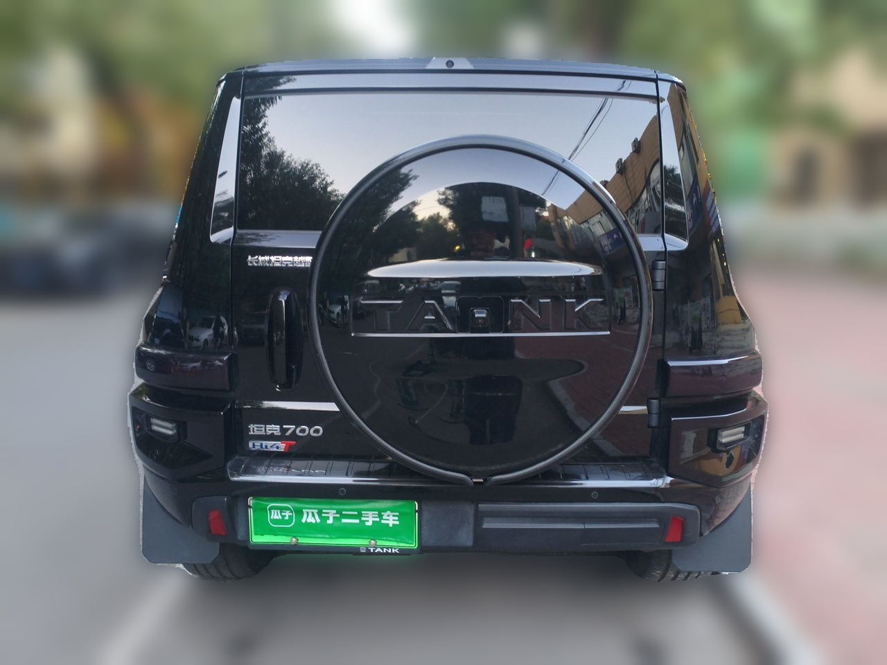 700 EV 2024 Hi4-T photo 5