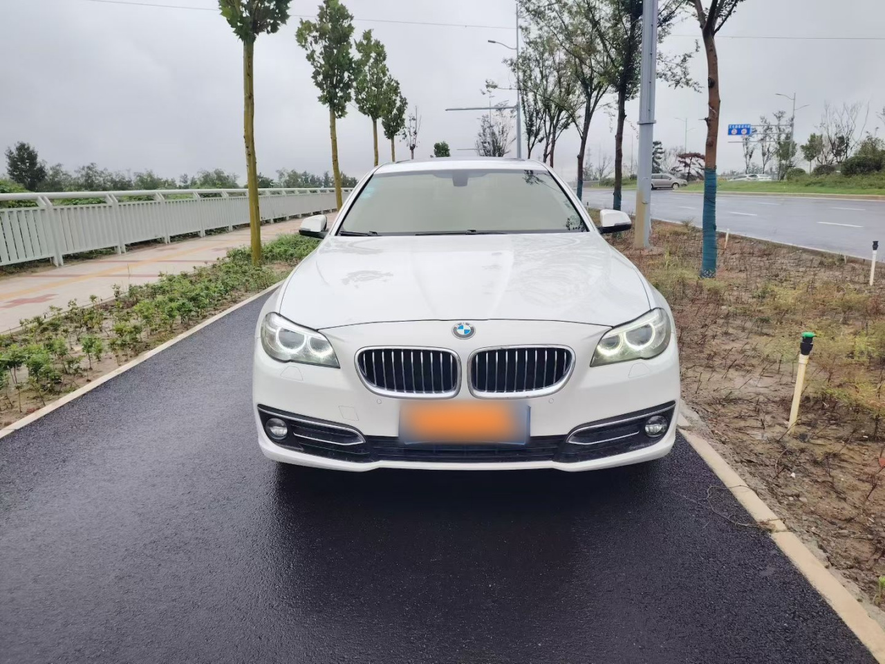 5 Series 2014 525Li Luxury Design Package photo 2