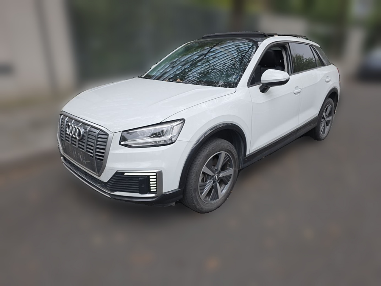 Q2L e-tron 2019 Q2L e-tron EV Smart