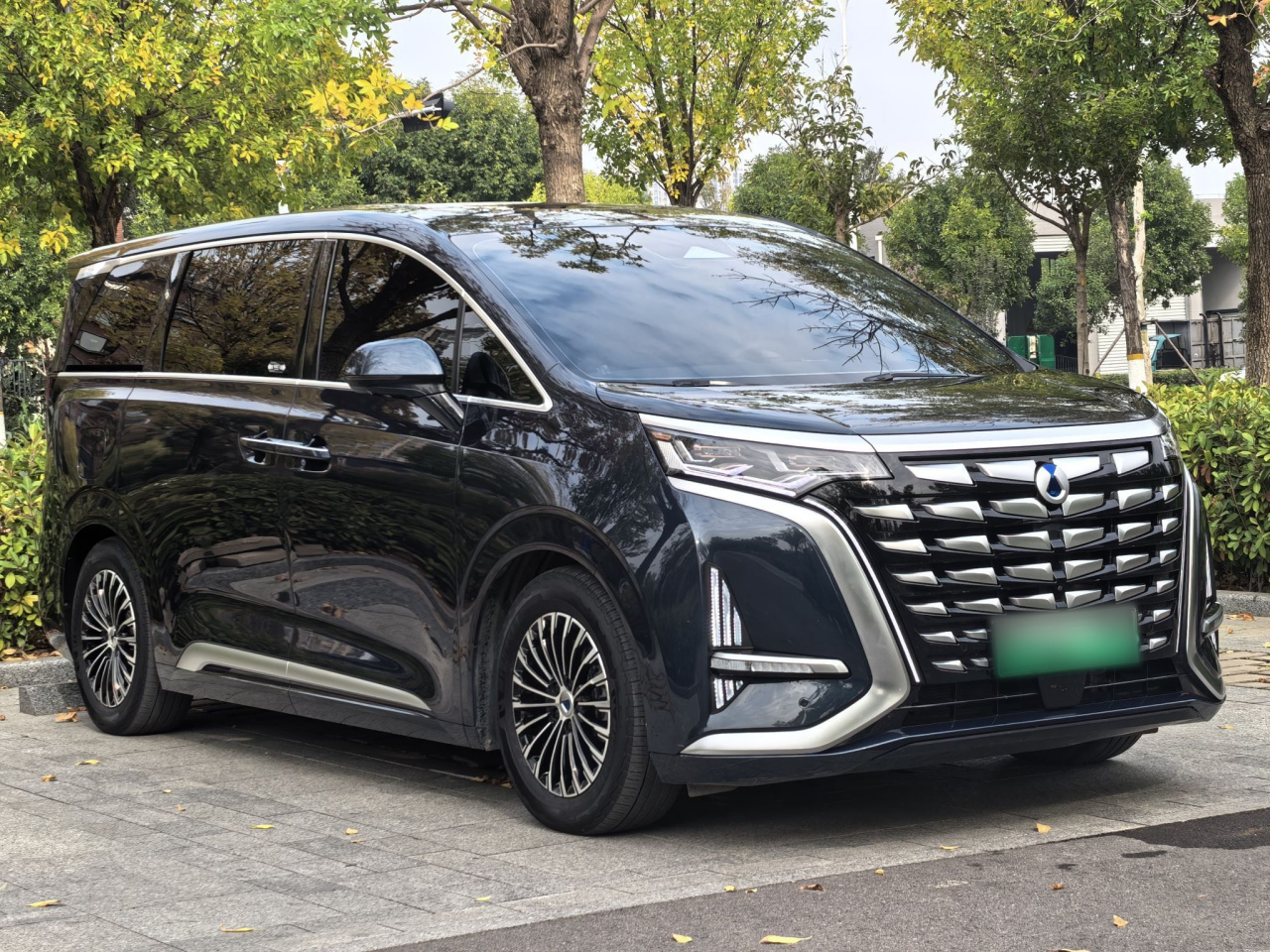 D9 2022 DM-i 970 AWD Flagship photo 3