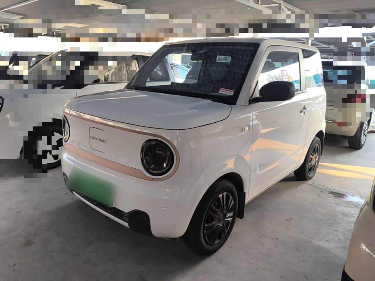 2024 Panda mini 200km Endurance Bear