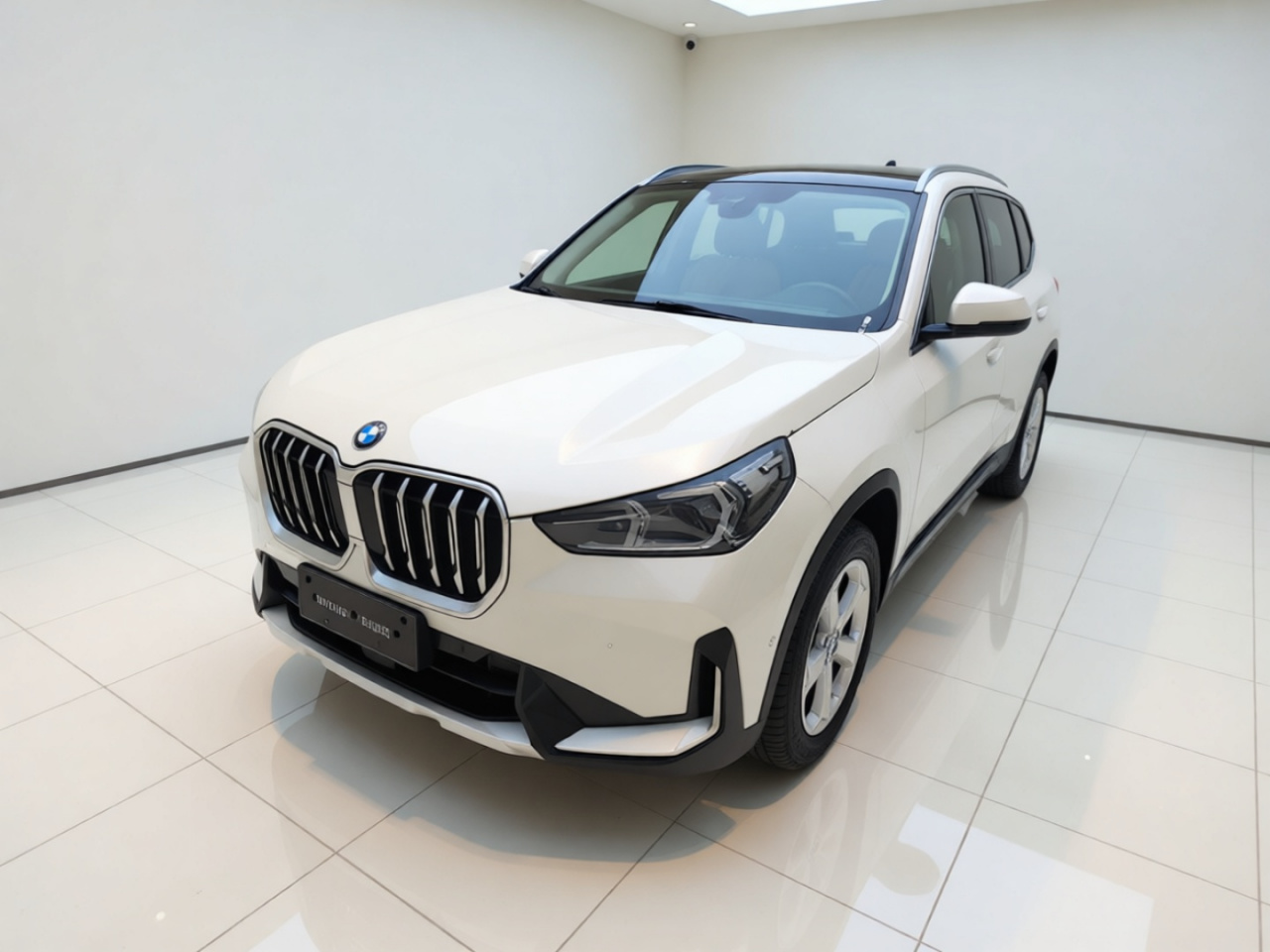 X1 2023 sDrive20Li X Design Package