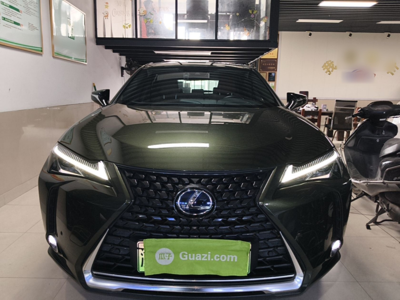 UX EV 2020 300e photo 2