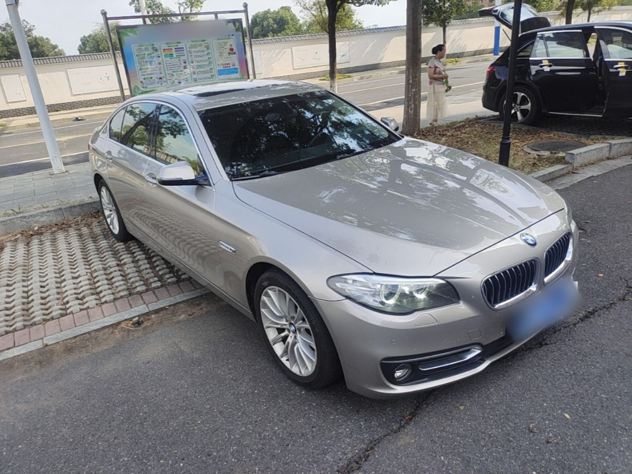 5 Series 2017 525Li Luxury Design Package photo 3