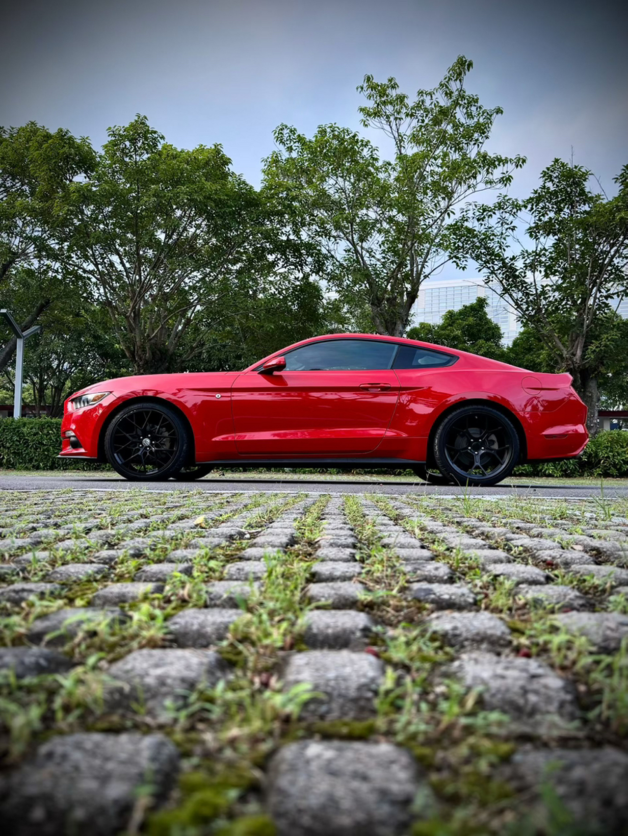 Mustang Parallel Import photo 3