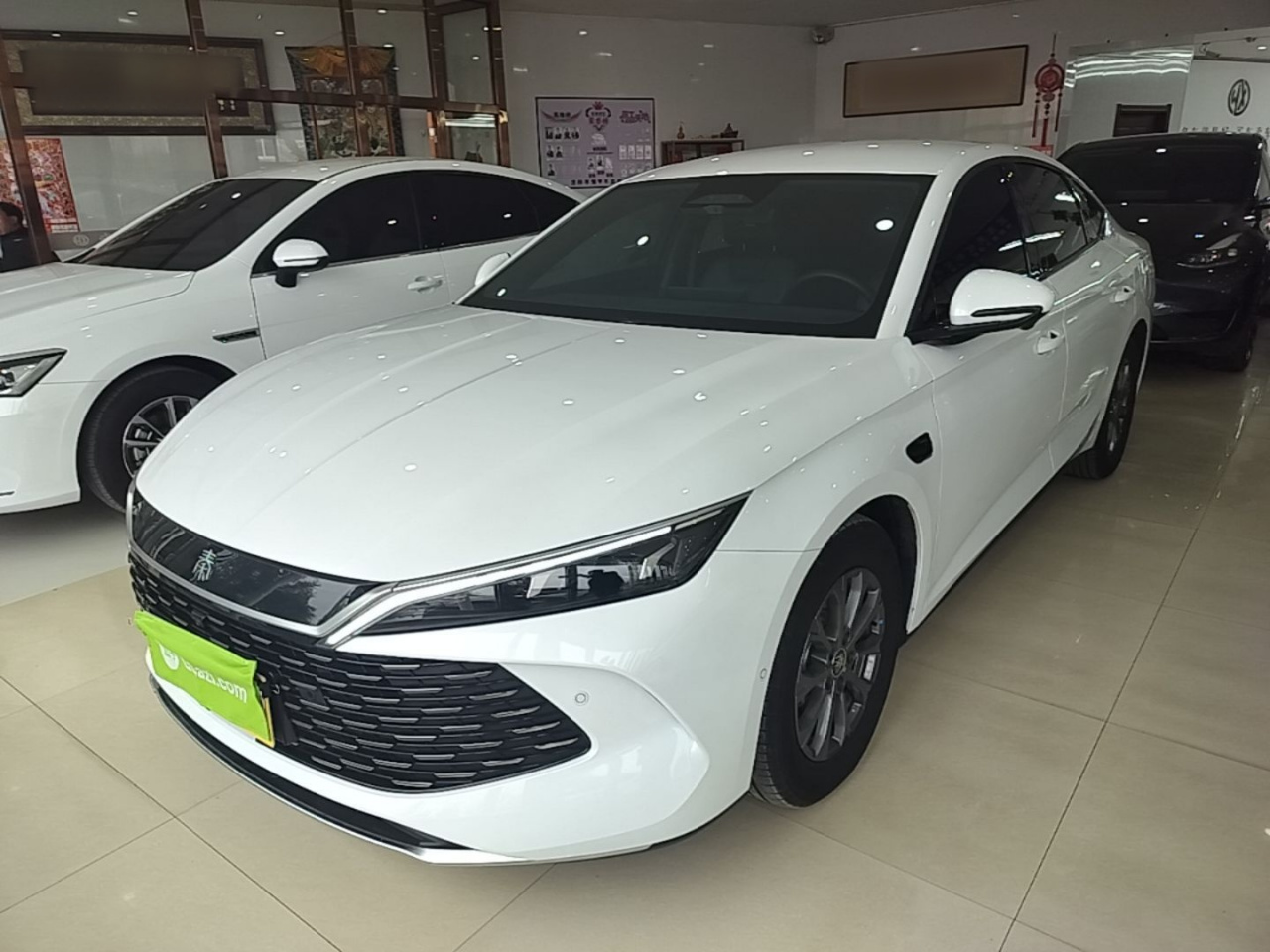 Qin L 2025 DM-i ADAS 80KM Leading
