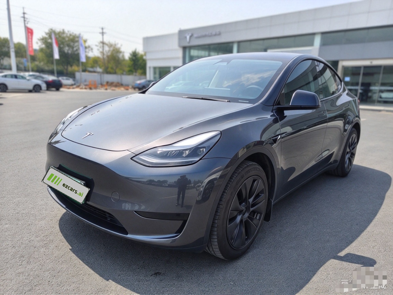 Model Y 2024 RWD