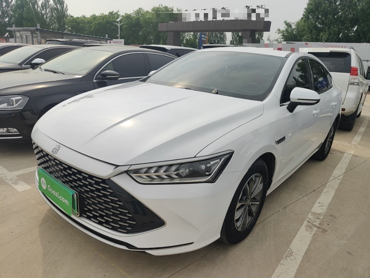Qin PLUS 2024 Honor DM-i 55KM Leading