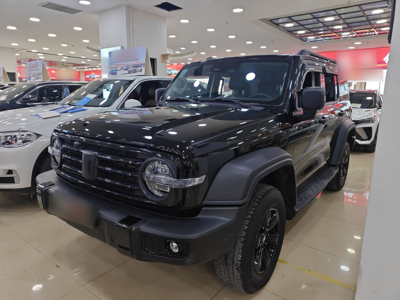 300 2023 Off-road 2.0T Conqueror