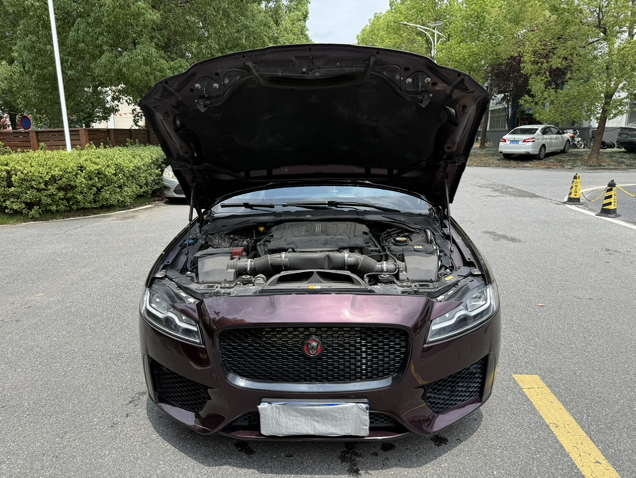 XFL 2018 XFL 3.0 SC 340PS photo 4