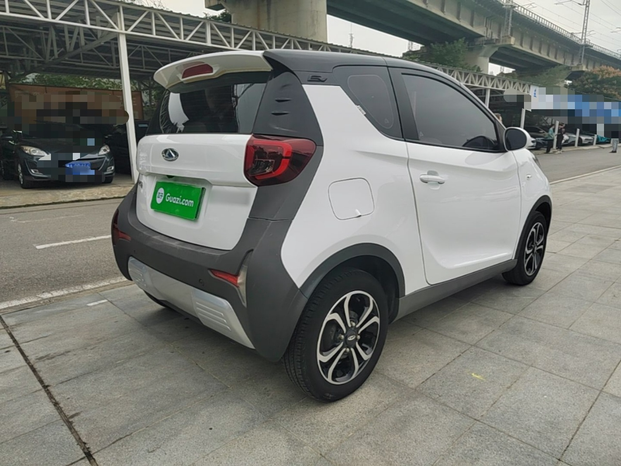 QQ Little Ant 2021 15 LFP photo 4