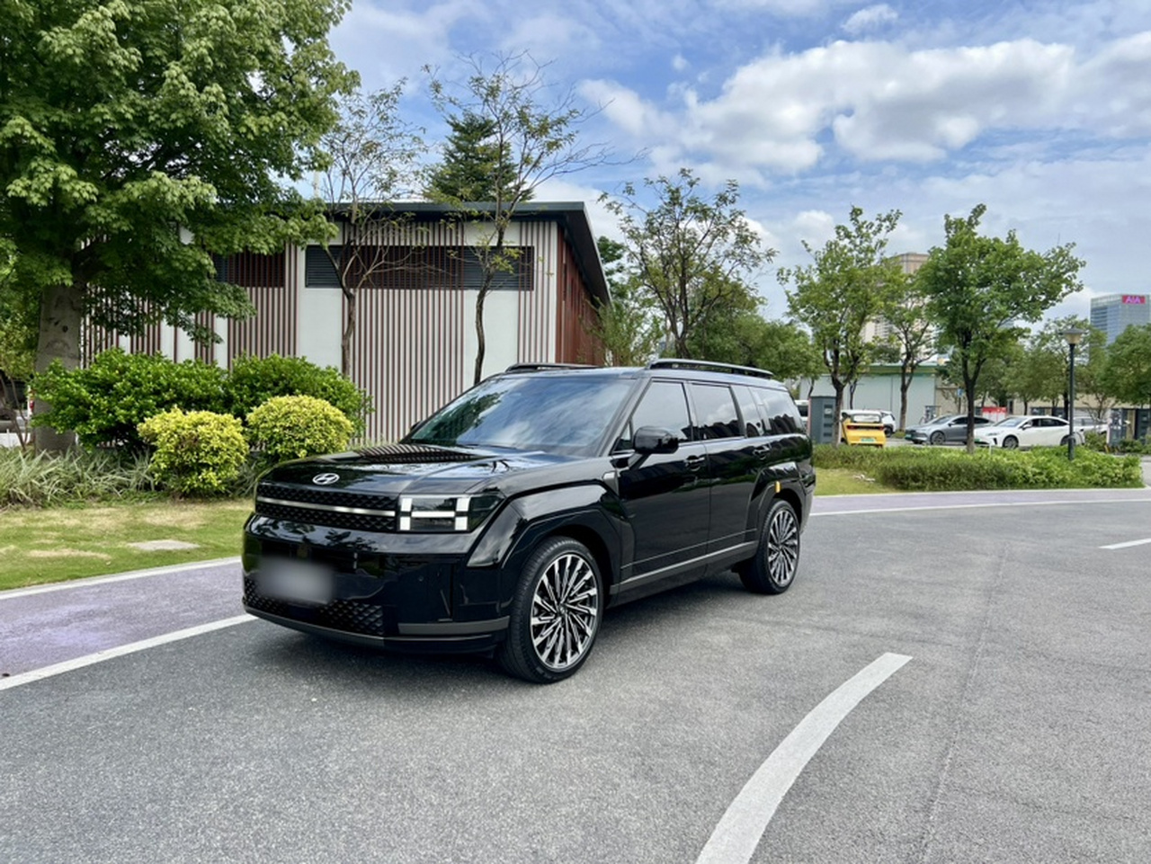 Santa Fe 2024 2.0T Pro Max