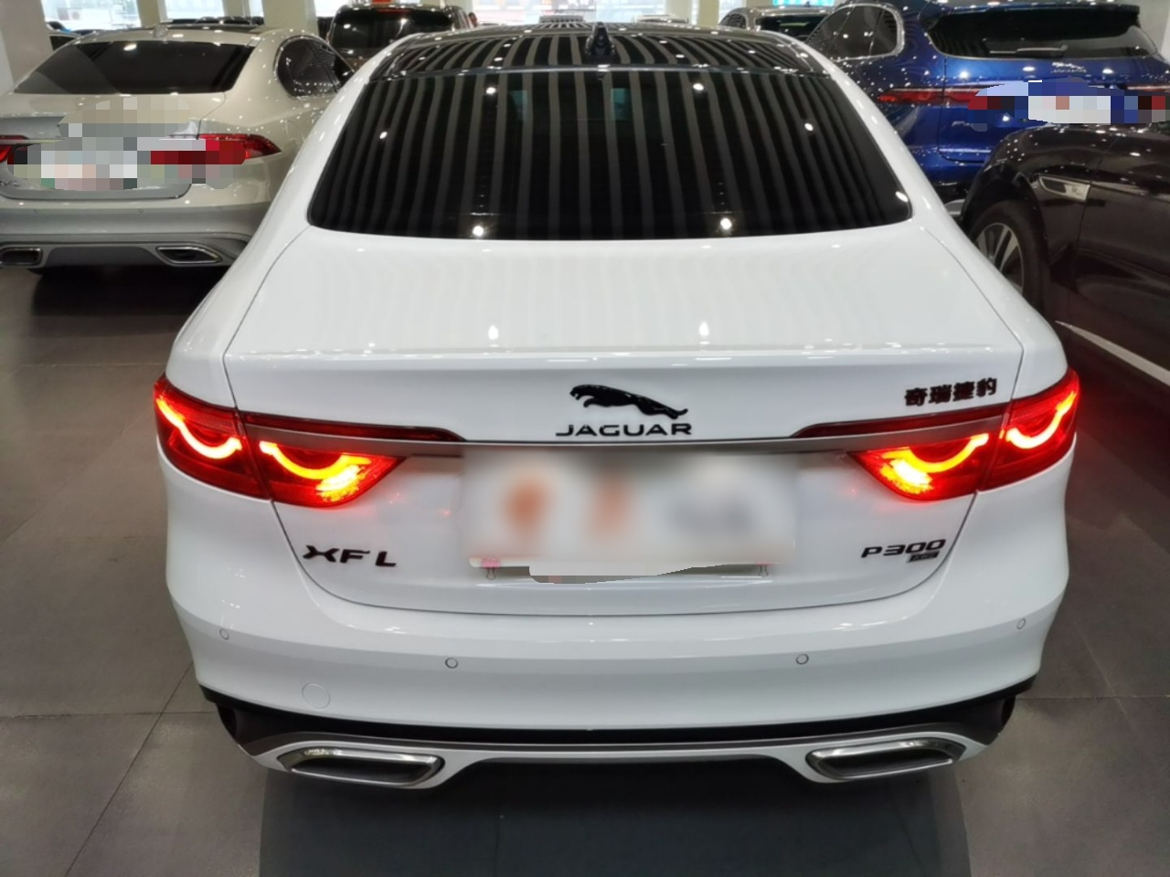 XFL 2024 2.0T P300 AWD Flagship Sport photo 3