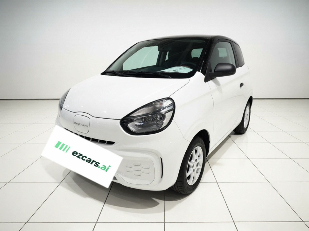 Clever R 2022 311km Yuan