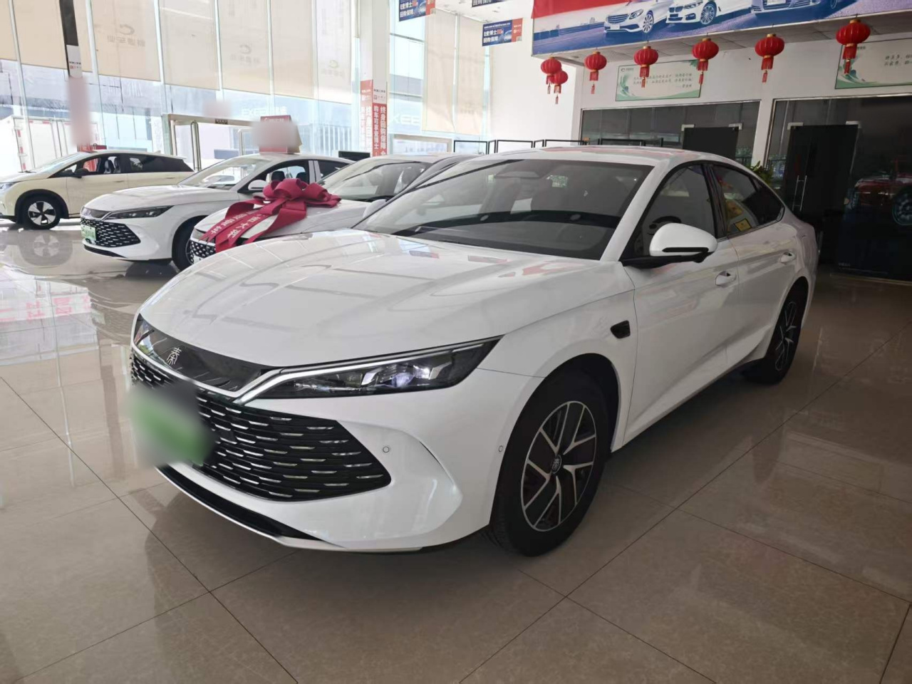Qin L 2026 DM-i 128KM Leading