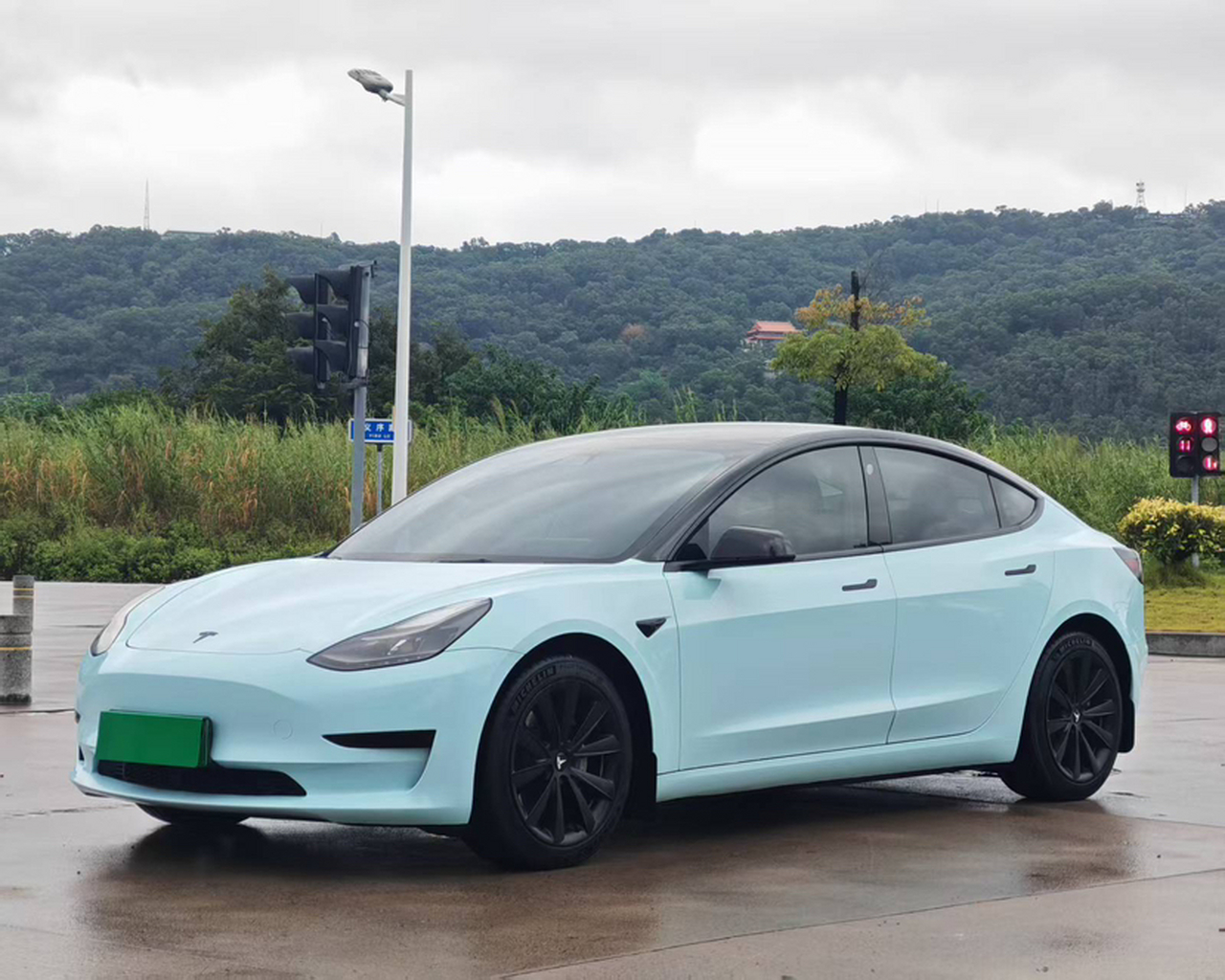 Model 3 2021 Standard Range RWD Upgraded 3D6