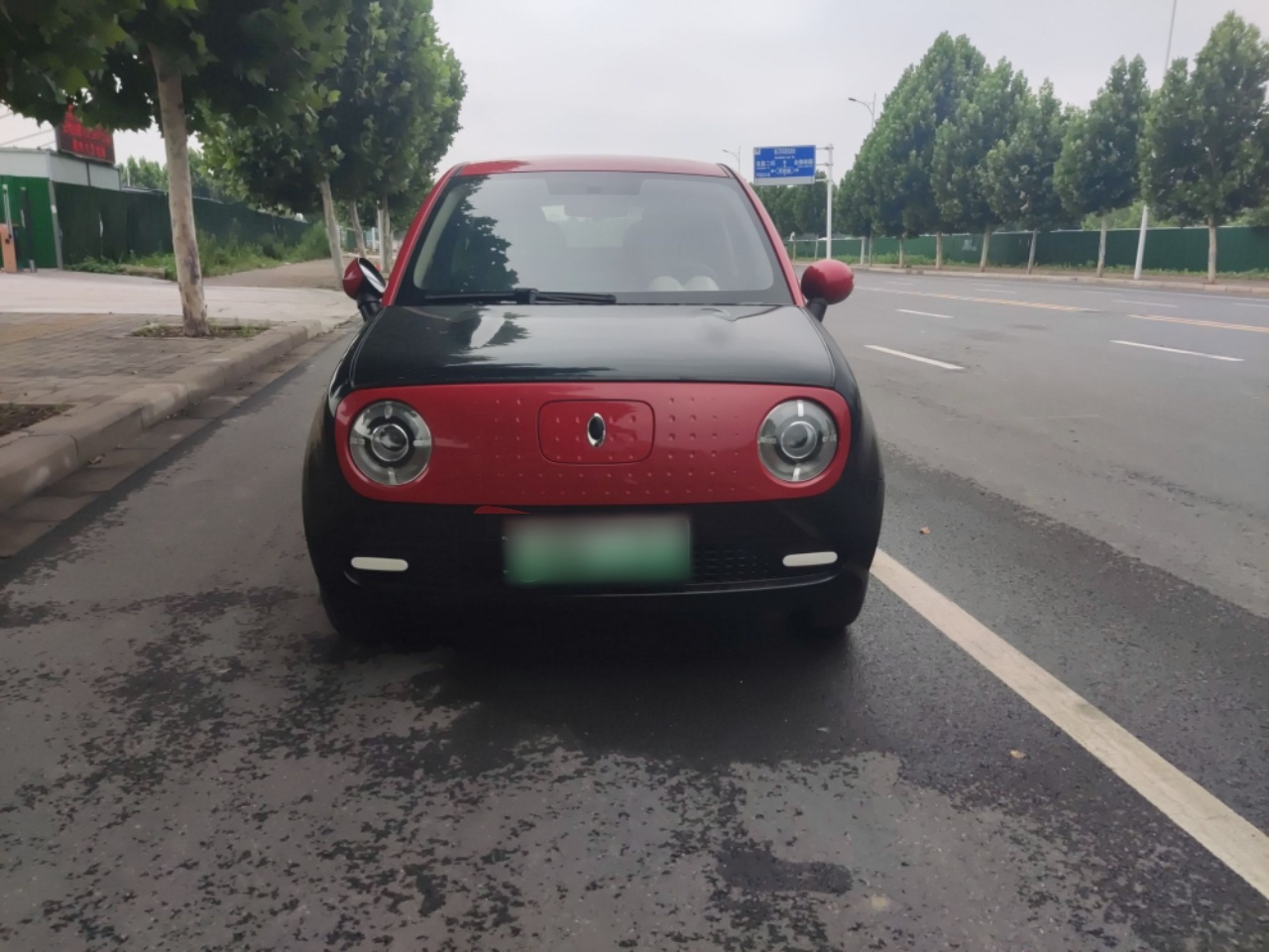 2019 301km Standard photo 3