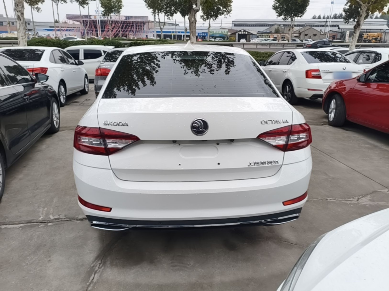 Octavia 2018 1.6L AT Luxury photo 5
