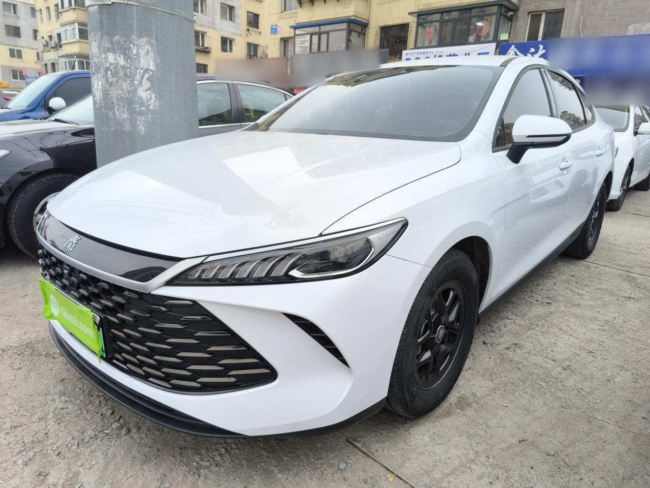 Qin PLUS 2025 DM-i ADAS 55KM Leading
