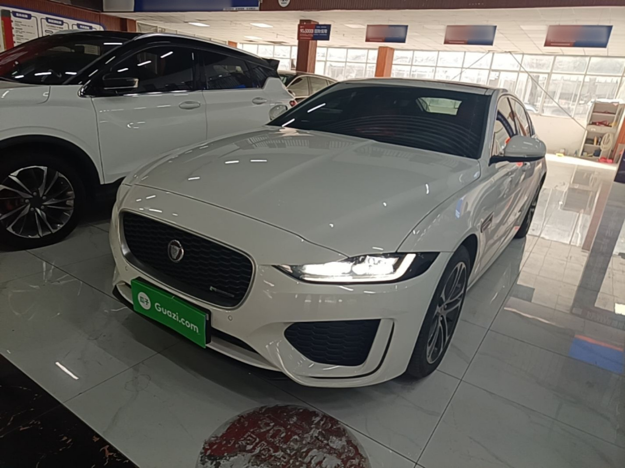 XEL 2023 2.0T 250PS R-DYNAMIC S Progressive Sport