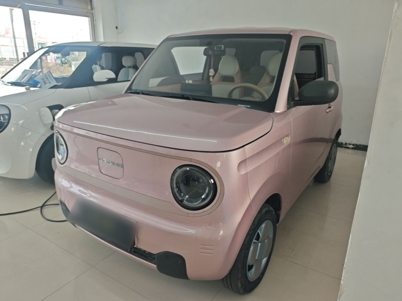 2023 Panda mini 200km Endurance Bear